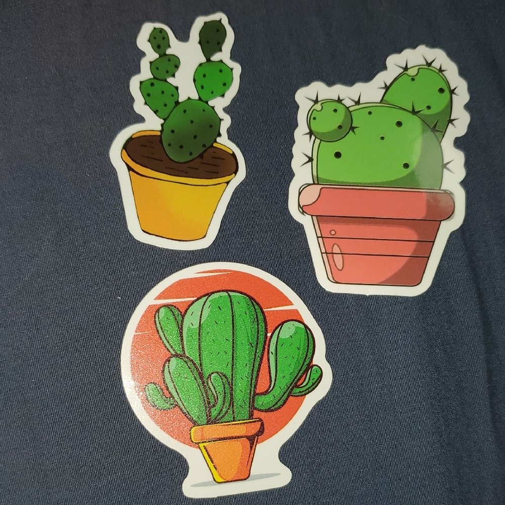🌈FREE W/BUNDLE🌈 Set Of 3 Cactus Pot Stickers